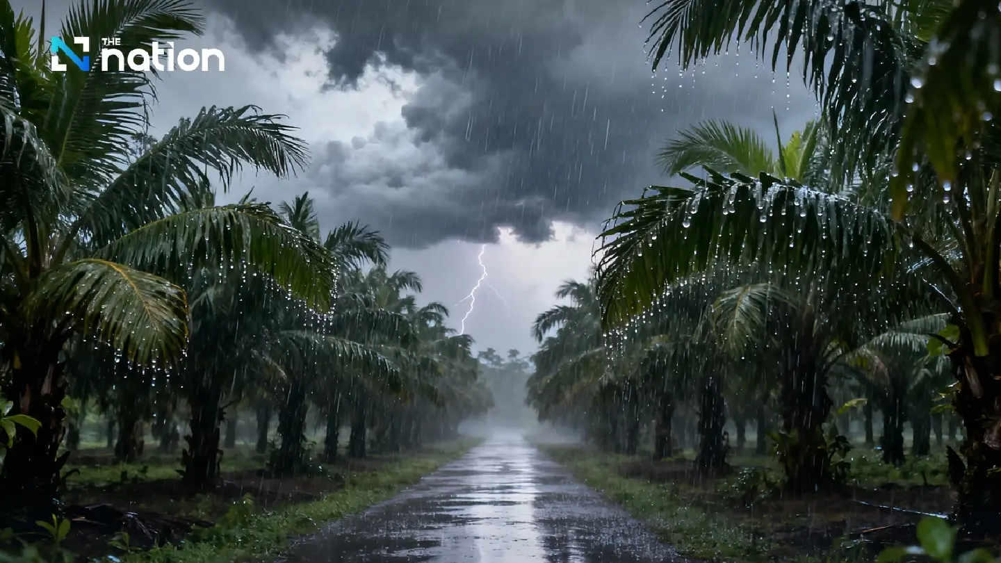 Monsoon hits Thailand as heavy rain drenches South, while North and Northeast warm up