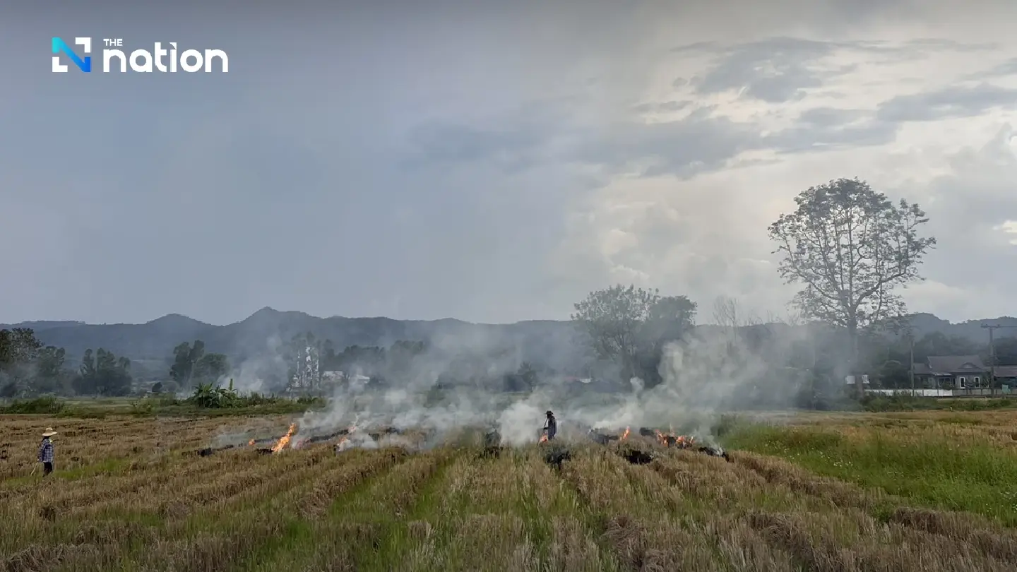 Farm burning fuels smog risk as Bangkok’s PM2.5 levels rise ahead of winter