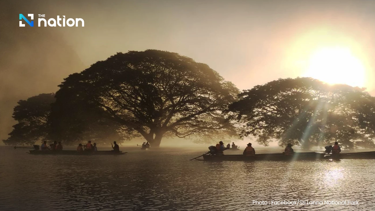 Discover Thailand's hidden gem: Boat tour to see 100-year-old giant monkey pod trees