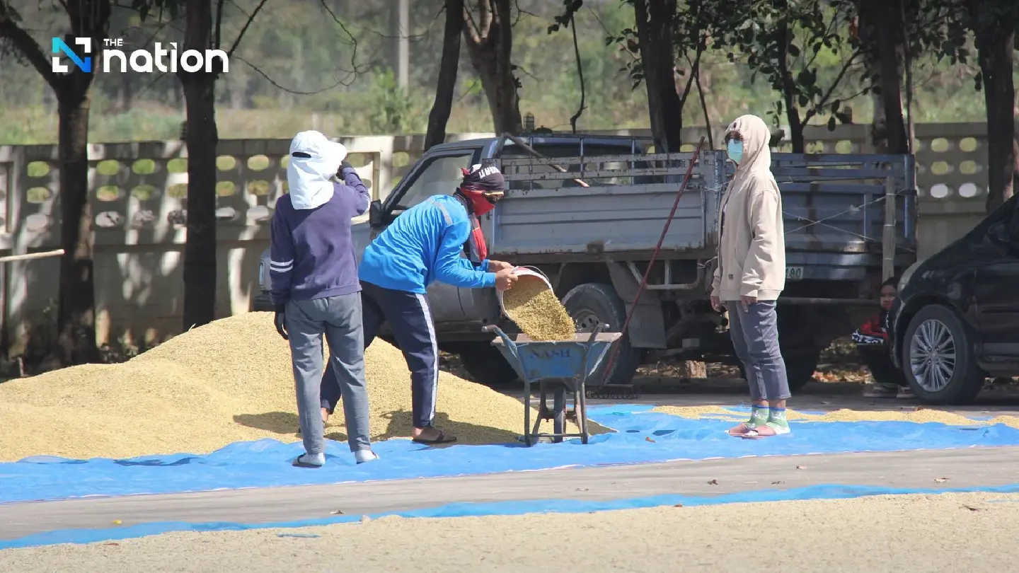 Buri Ram strengthens border to block illegal Cambodian rice
