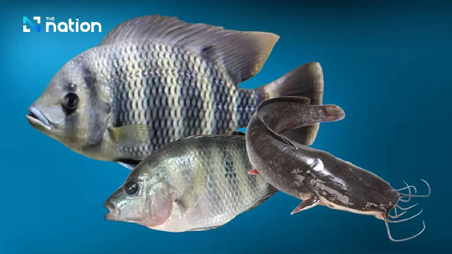 Alien species invasion escalates as authorities miss the real issue