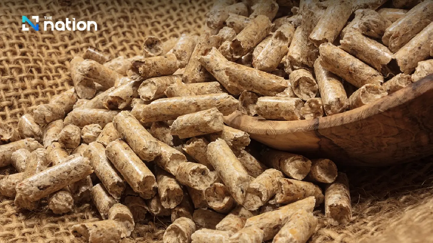 Thailand ships 20,000 tons of pelletised cassava to Saudi Arabia