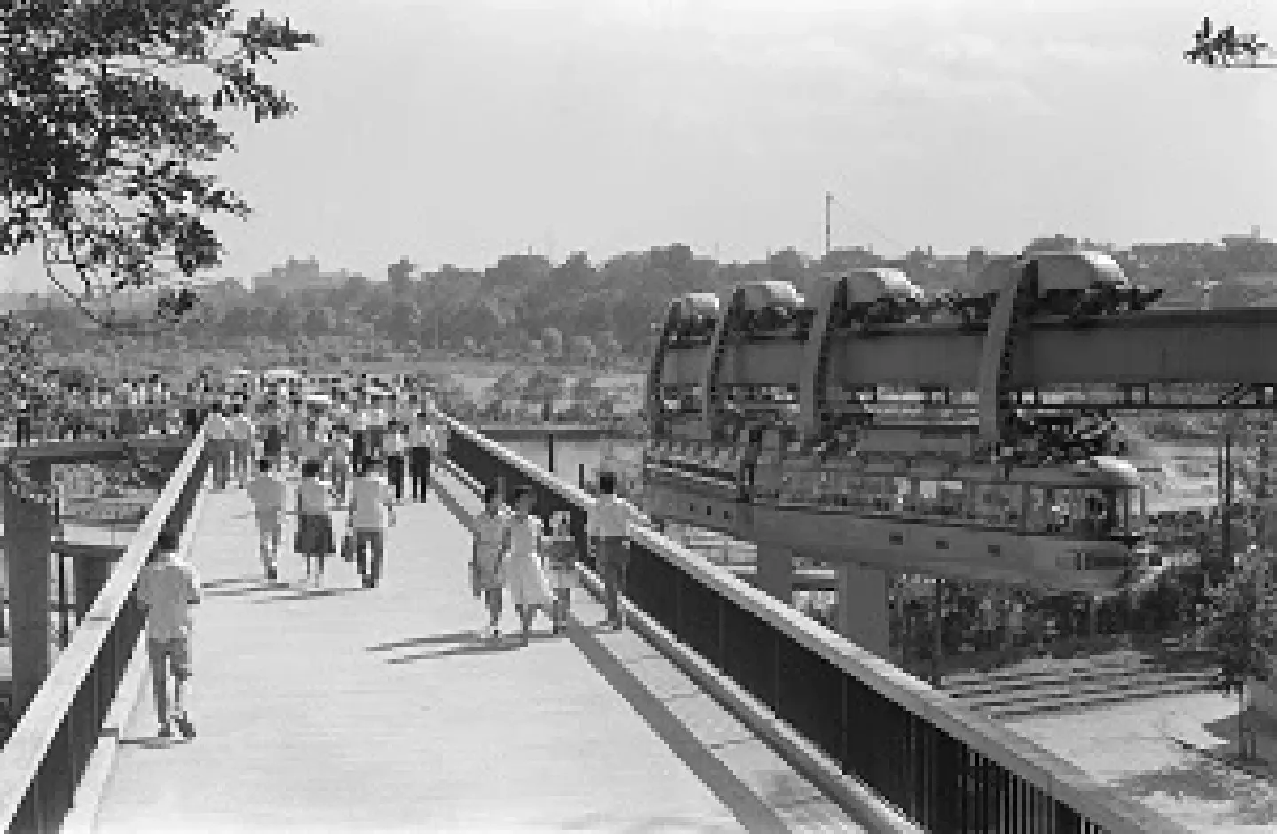 Ueno Zoo: From Wartime Struggles to Modern-Day Success (2)