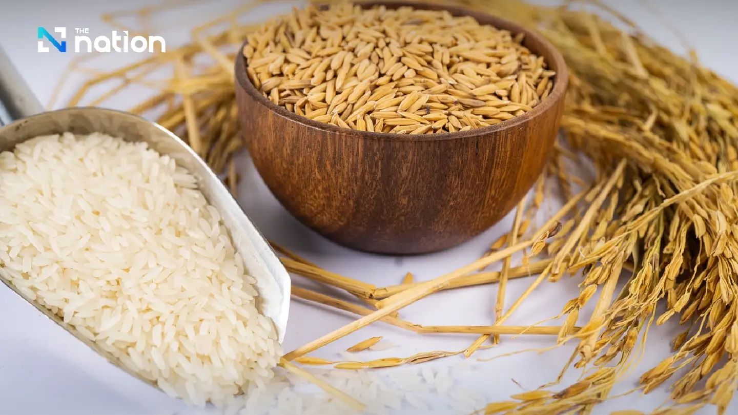 Singapore and Vietnam sign deal to create ASEAN Rice Hub, promote low-carbon rice trade