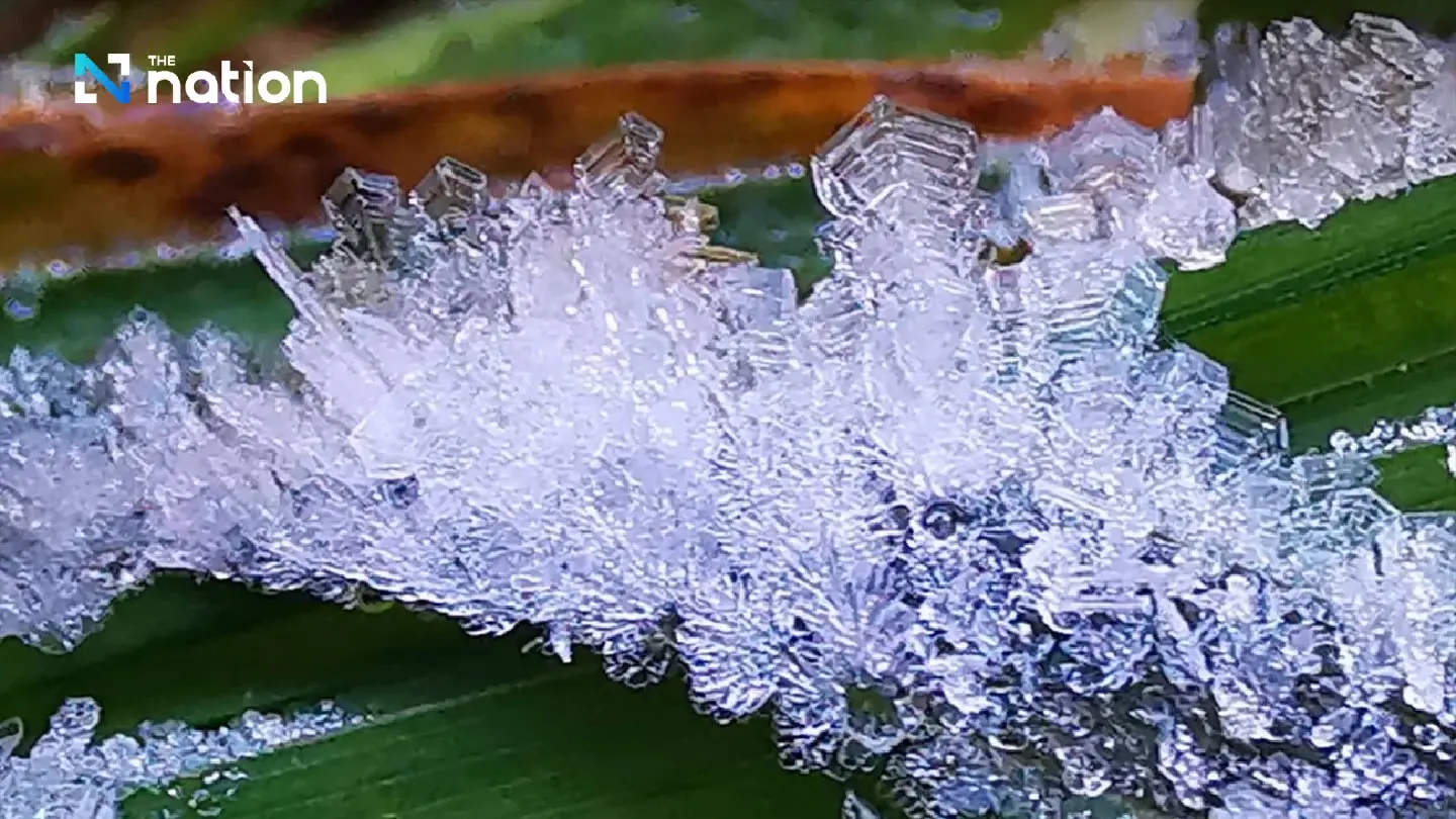 First hoar frost of 2025 appears on Doi Inthanon on Monday