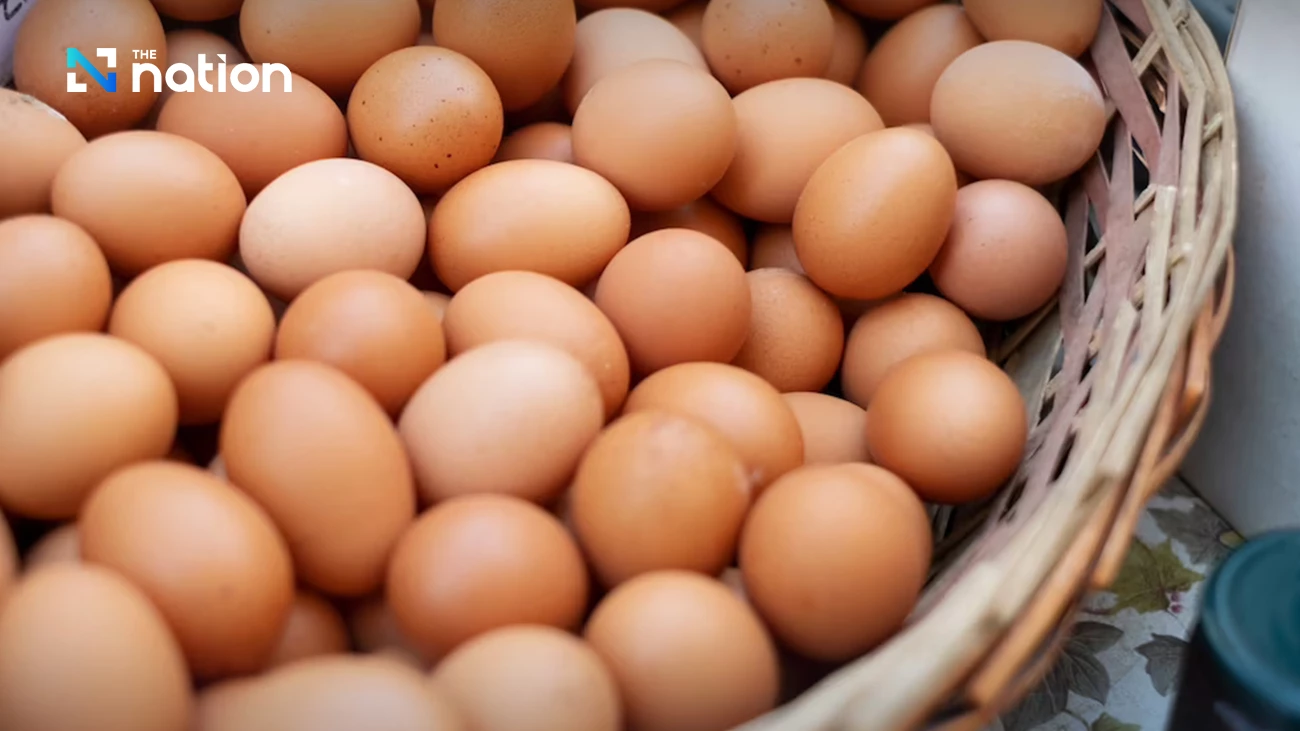 Thai Egg Market Stabilises Through Exports, Faces Price War at Home