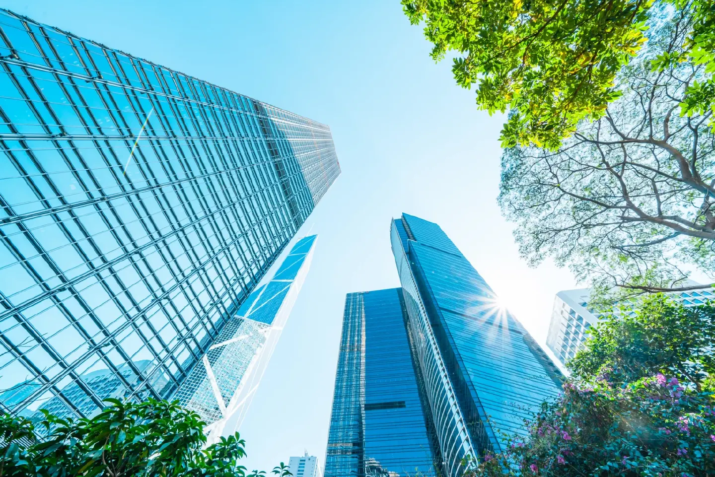 Are You a “Good Taxpayer”? Inside the RBA System