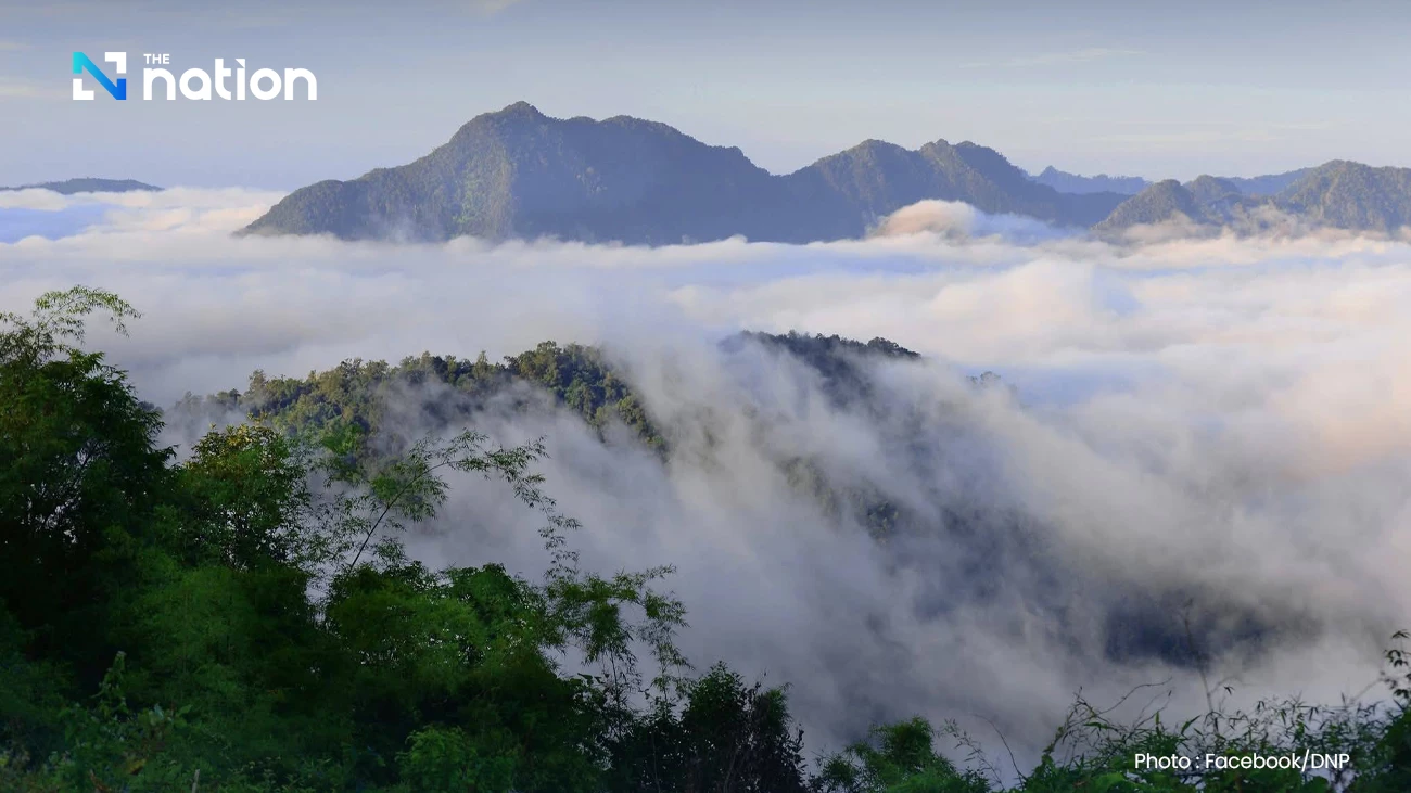 Year-end cold lingers in North and Northeast, with fog in parts of Thailand