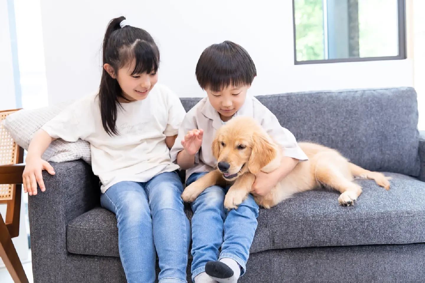 Having dogs likely boosts teens' social skills: study Having dogs likely boosts teens' social skills: study