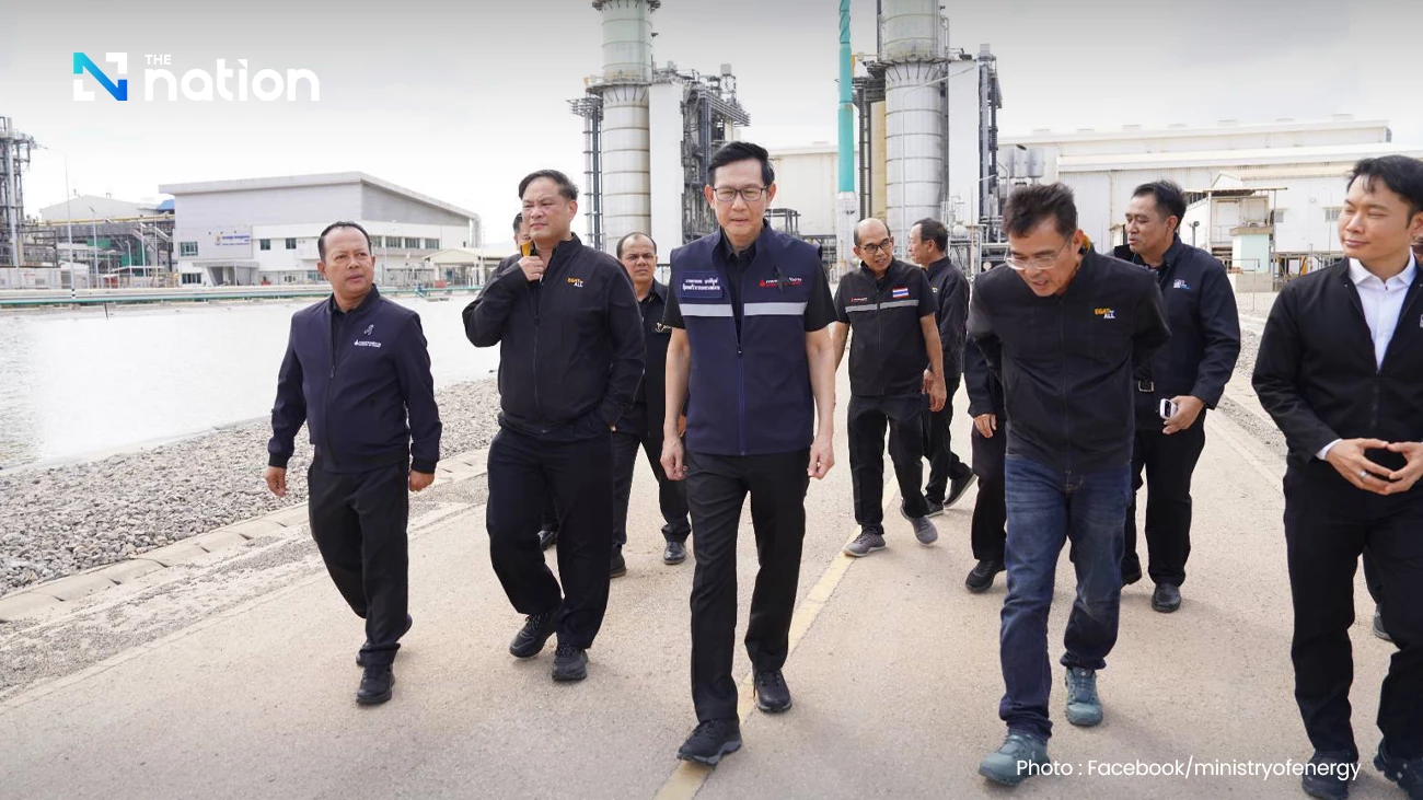 Jana power plant repairs to take 4 months, energy minister says southern grid secure