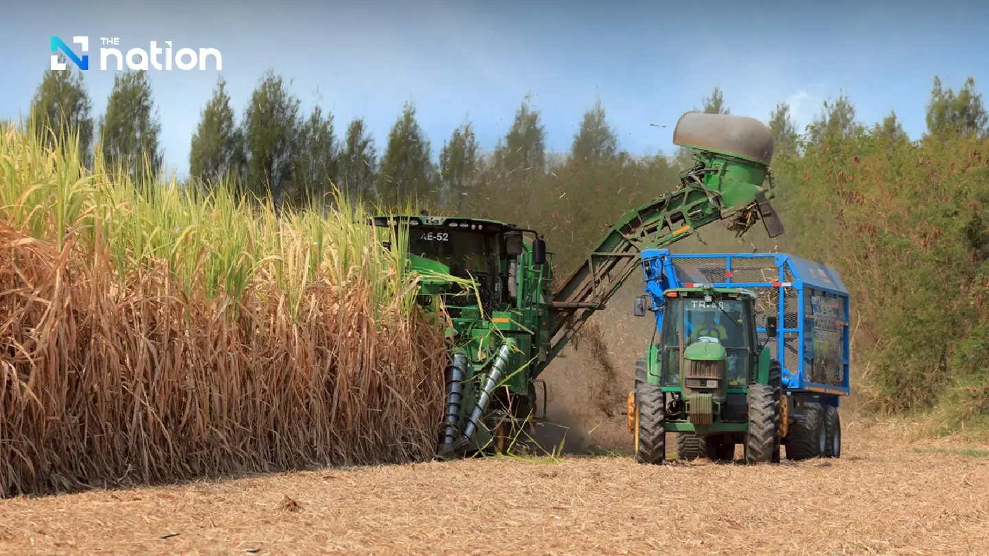 Mitr Phol Group joins hands with sugarcane growers to promote fresh cane cutting throughout the crushing season Mitr Phol Group joins hands with sugarcane growers to promote fresh cane cutting throughout the crushing season
