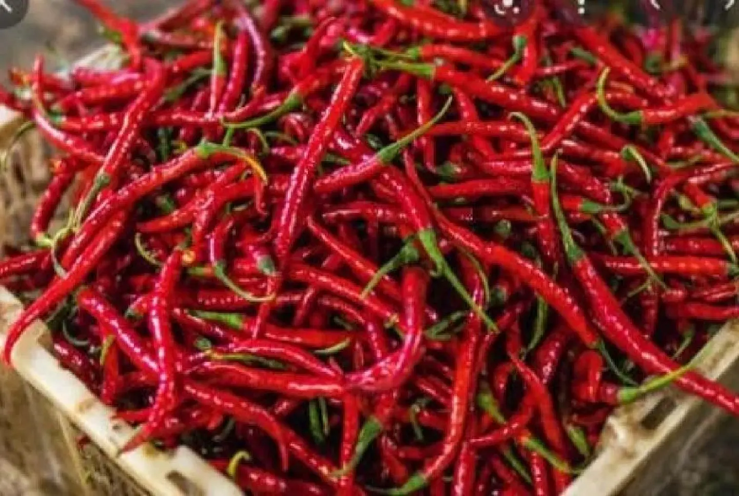 Pesticide, herbicide and mould toxin found in Myanmar chillies bound for Thailand