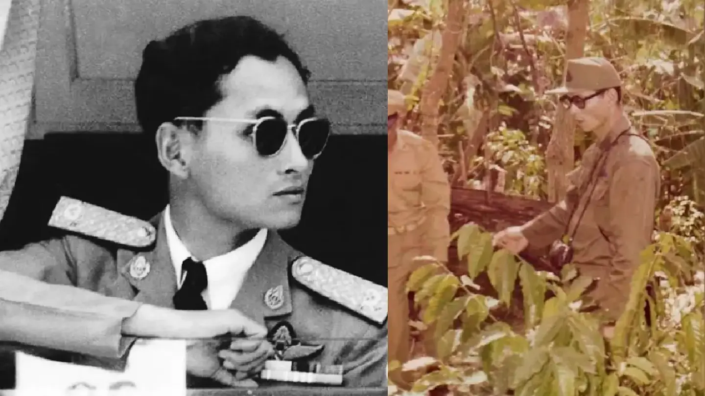 The Coffee Tree of 'Father': From Opium Fields to Arabica Forests The Coffee Tree of 'Father': From Opium Fields to Arabica Forests