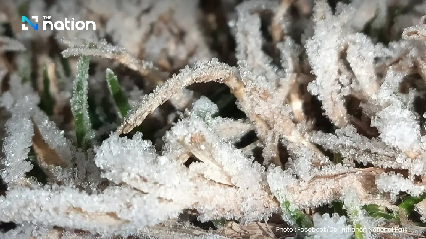 Upper Thailand stays cold as high pressure lingers; Southern showers fade Upper Thailand stays cold as high pressure lingers; Southern showers fade