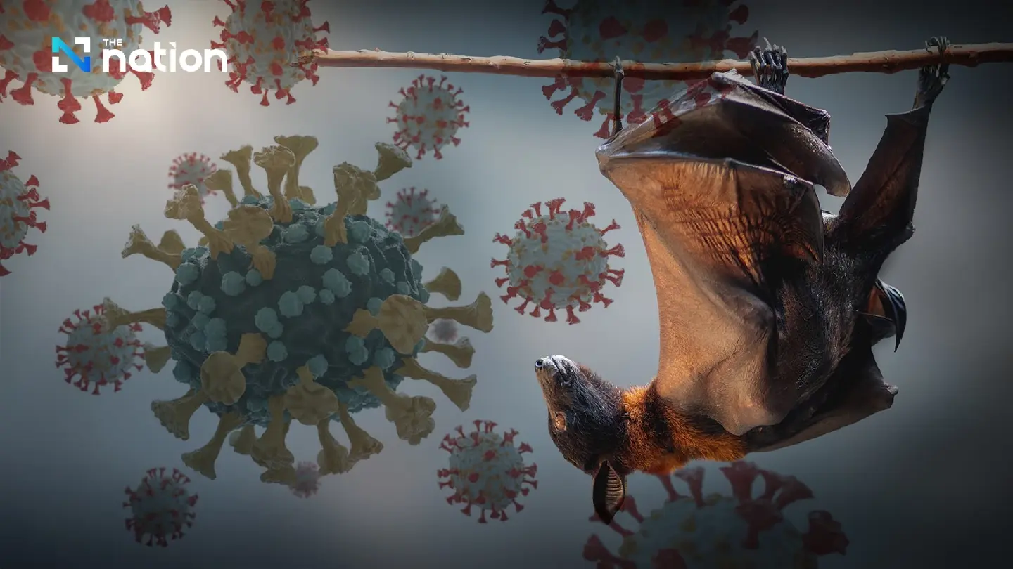 Disease Control Department on High Alert After Nipah Virus Outbreak in India