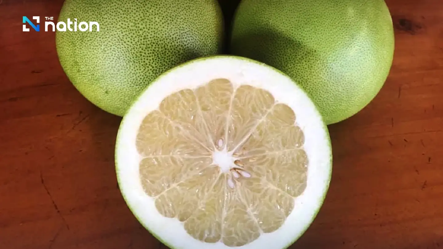 Chiang Rai’s Wiang Kaen pomelo registered as ninth GI product