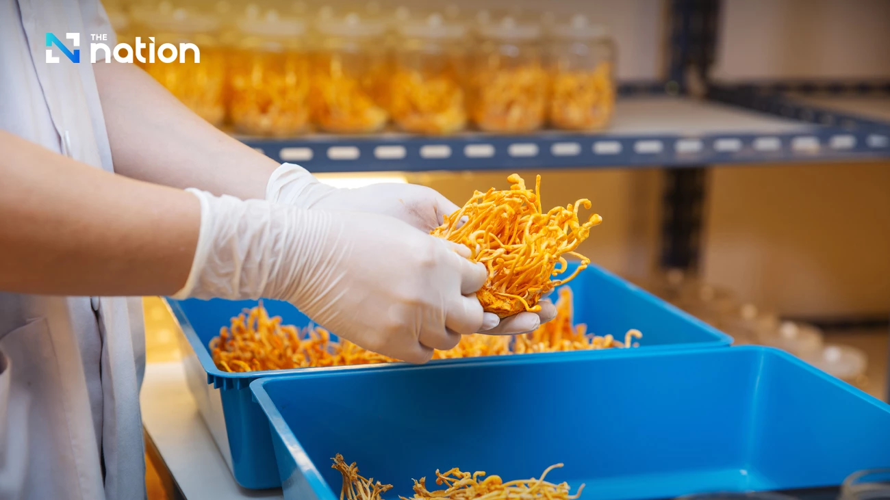 Bangkok Triples Green Loan Ceiling to Accelerate SME Decarbonisation