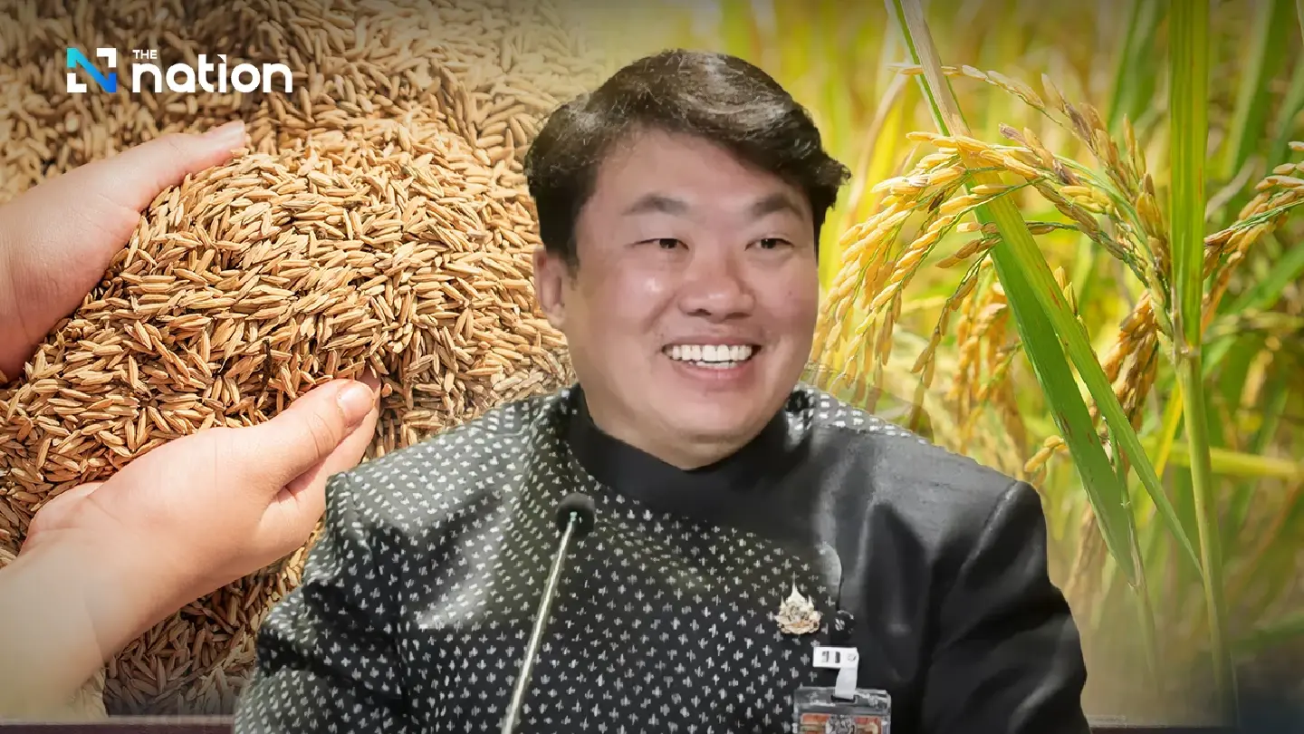 Thai Cabinet Blocks THB1.68b Rice Intervention Citing Constitutional Constraints Thai Cabinet Blocks THB1.68b Rice Intervention Citing Constitutional Constraints