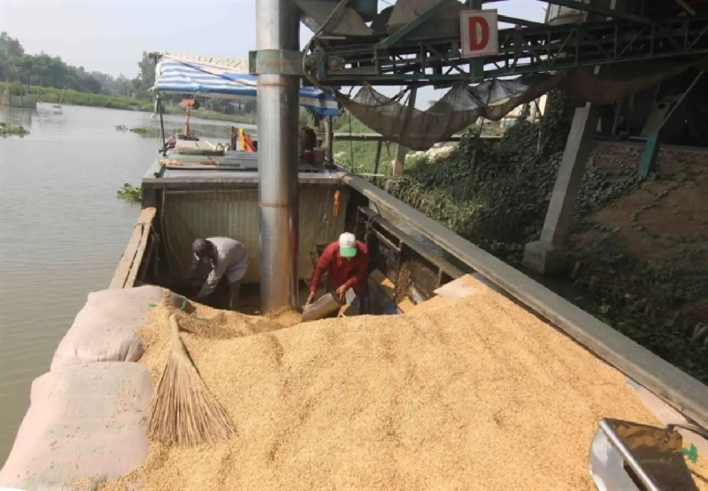 Vietnam exports over 8 million tonnes of rice, earning $4.1 billion in 2025