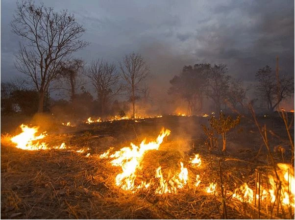 Laos, Myanmar, Thailand join forces to battle transboundary air pollution