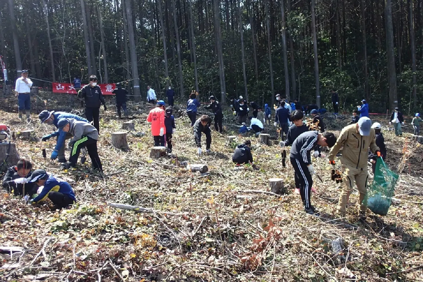 Japan to quantify companies' forest conservation efforts