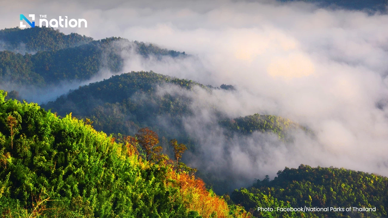 Cool mornings with fog across upper Thailand; light rain possible in East