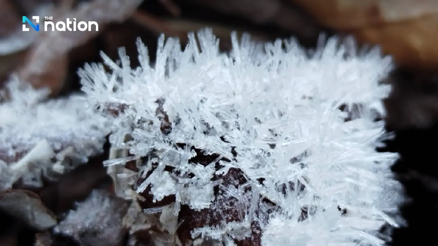 Doi Inthanon treated with hoar frost on New Year morning