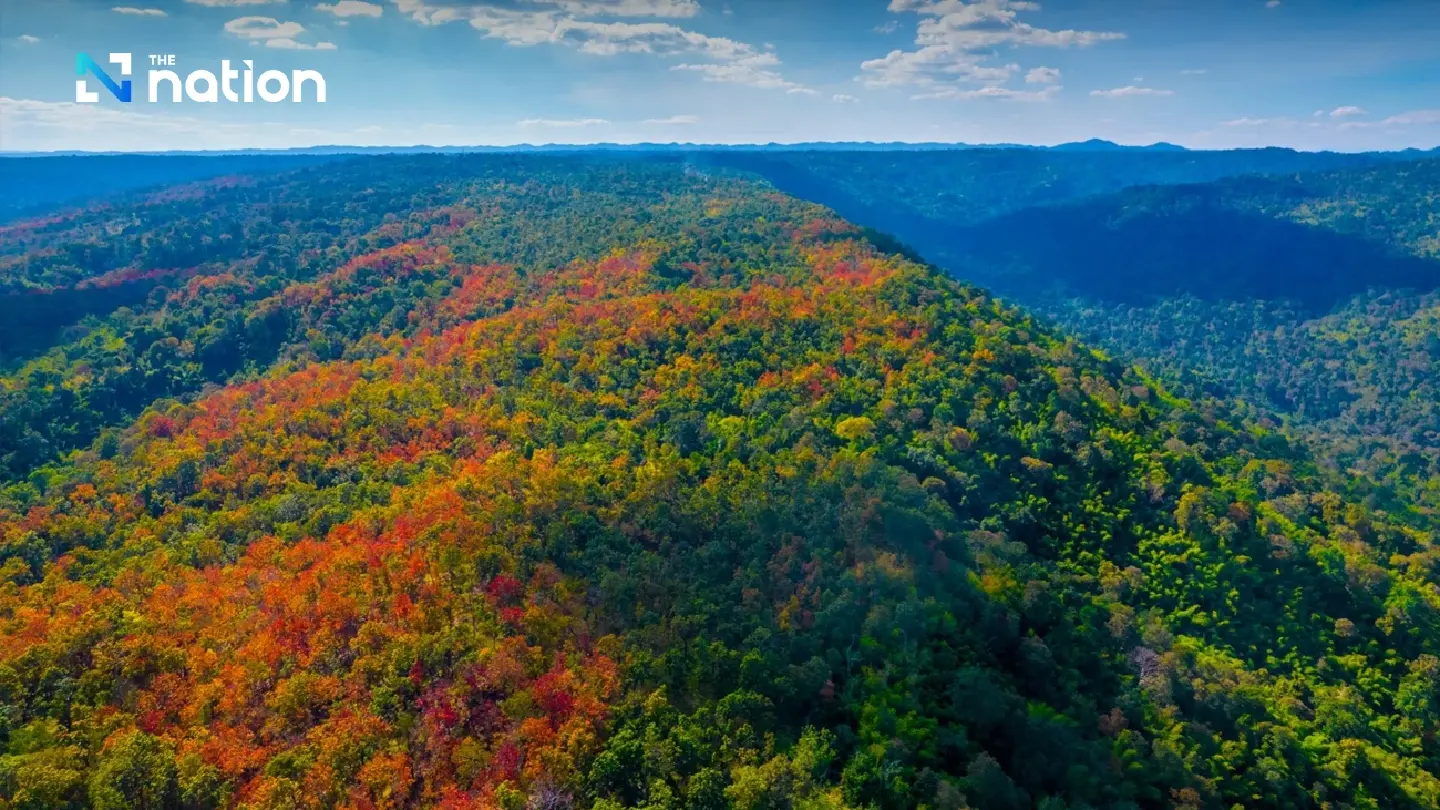 The ‘colour-changing forest’ phenomenon: a spectacular palette in Nam Nao Forest, Phetchabun