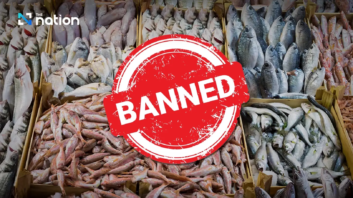 US bans seafood imports from Vietnam, opening door for Thai exporters