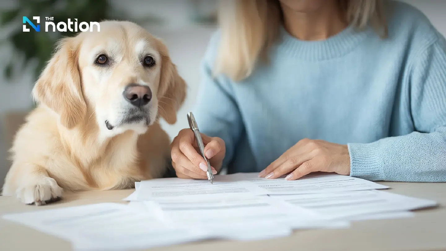 Bangkok mandates dog and cat registration, microchip implant