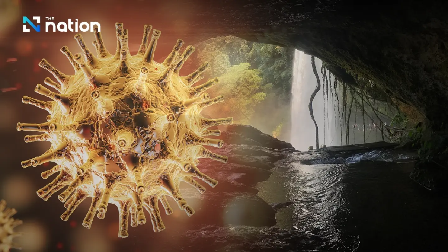 Parks Dept tightens cave tourism screening over Nipah fears