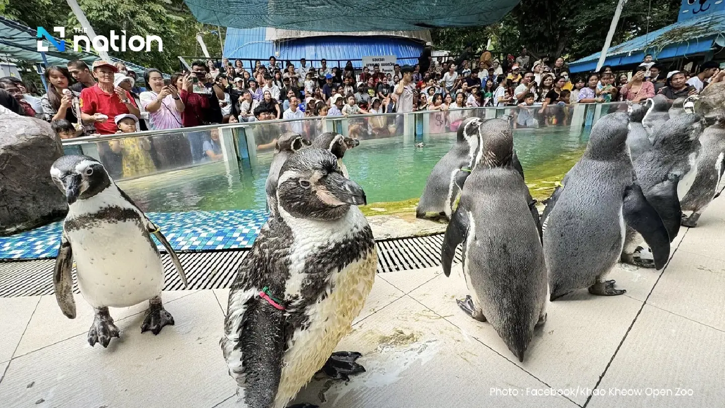 Children and seniors get free entry to six zoos for National Children’s Day
