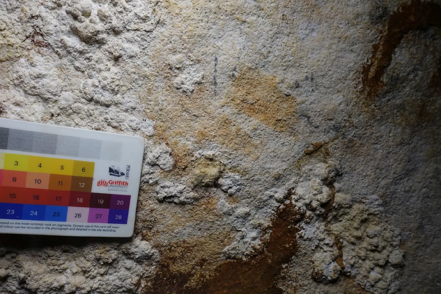 World’s oldest cave art discovered in Indonesia World’s oldest cave art discovered in Indonesia