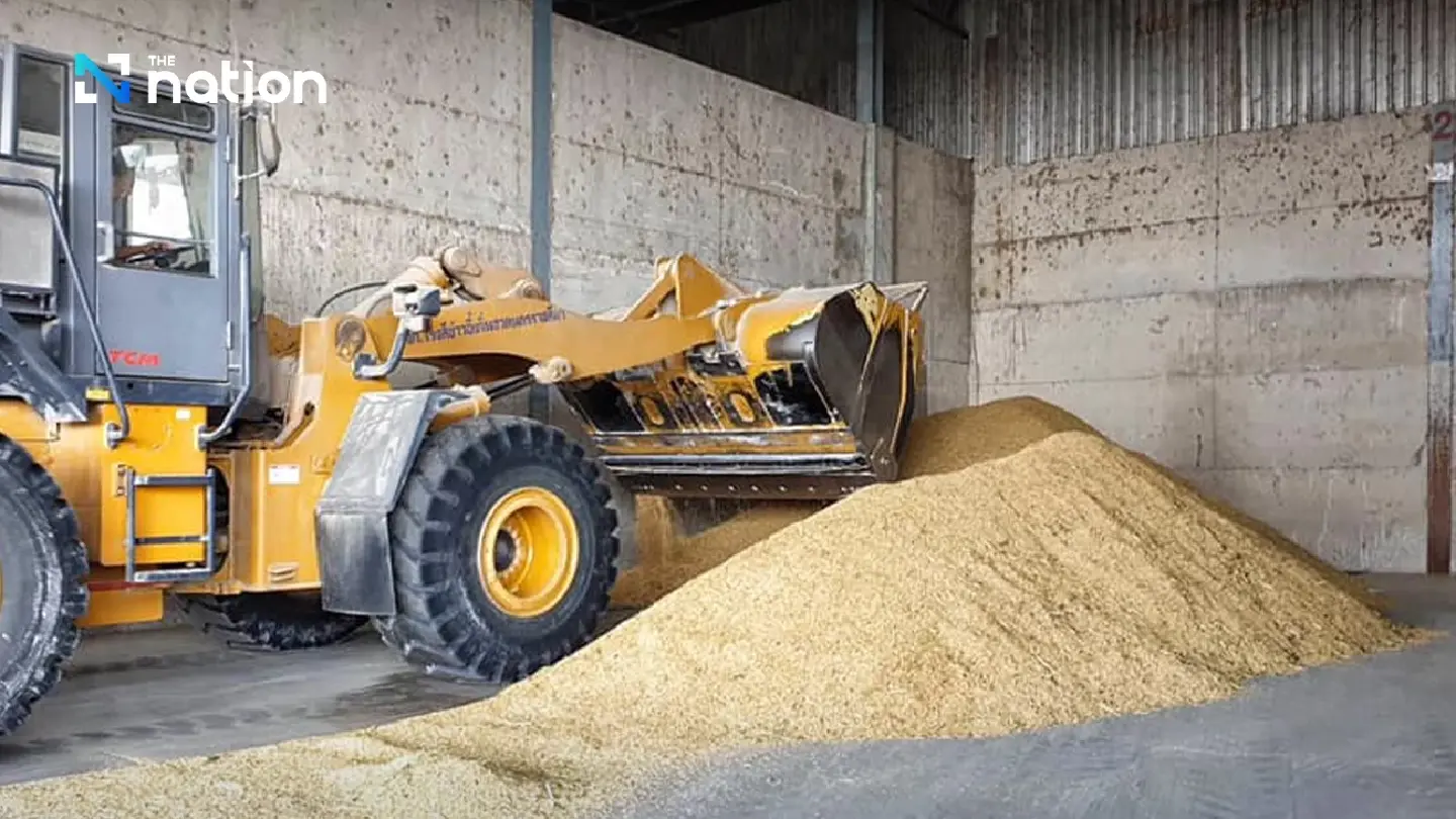 Thailand’s 2025 rice exports top target at 7.9m tonnes