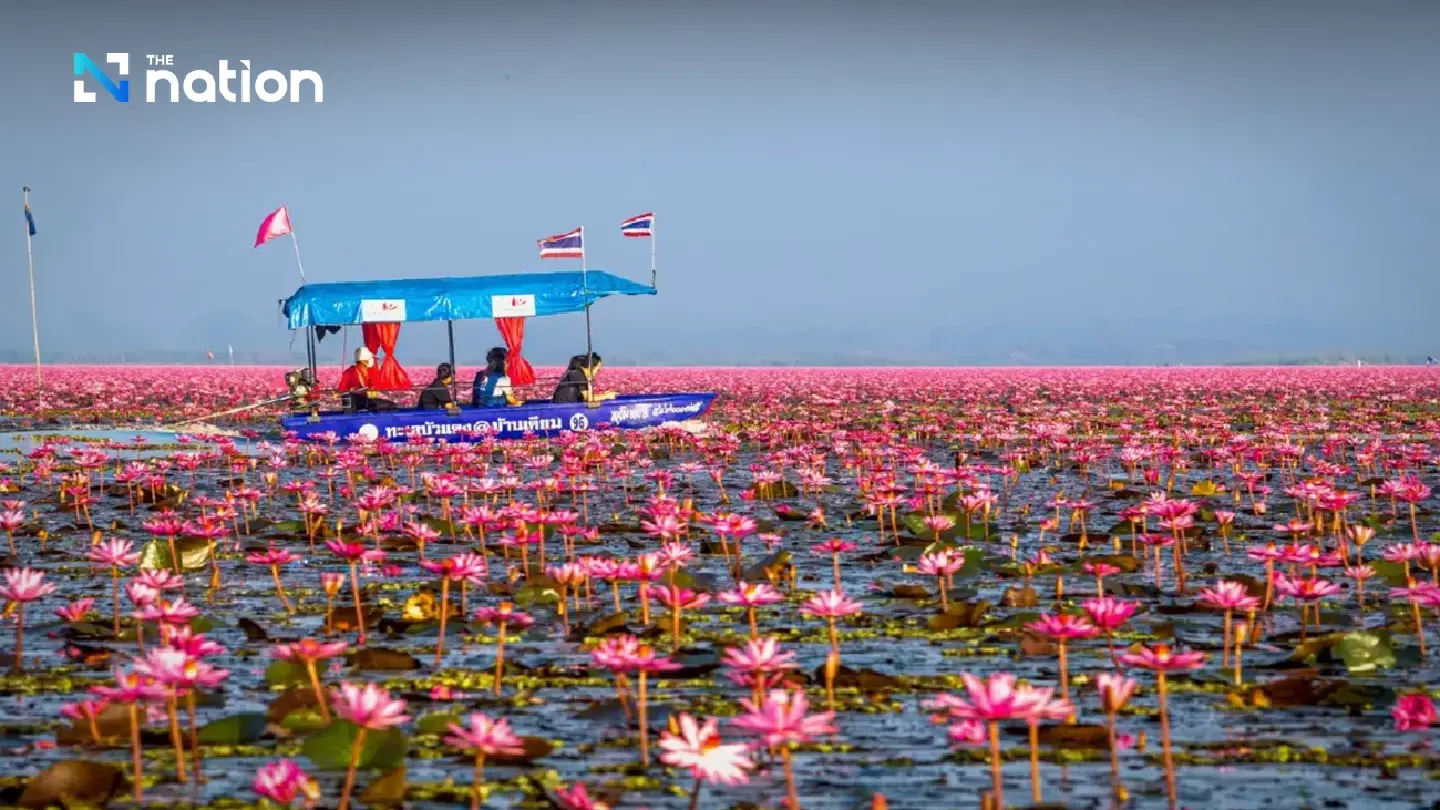 ‘Lisa effect’ draws crowds to Udon Thani’s Red Lotus Sea as TAT forecasts 120,000 visitors this season