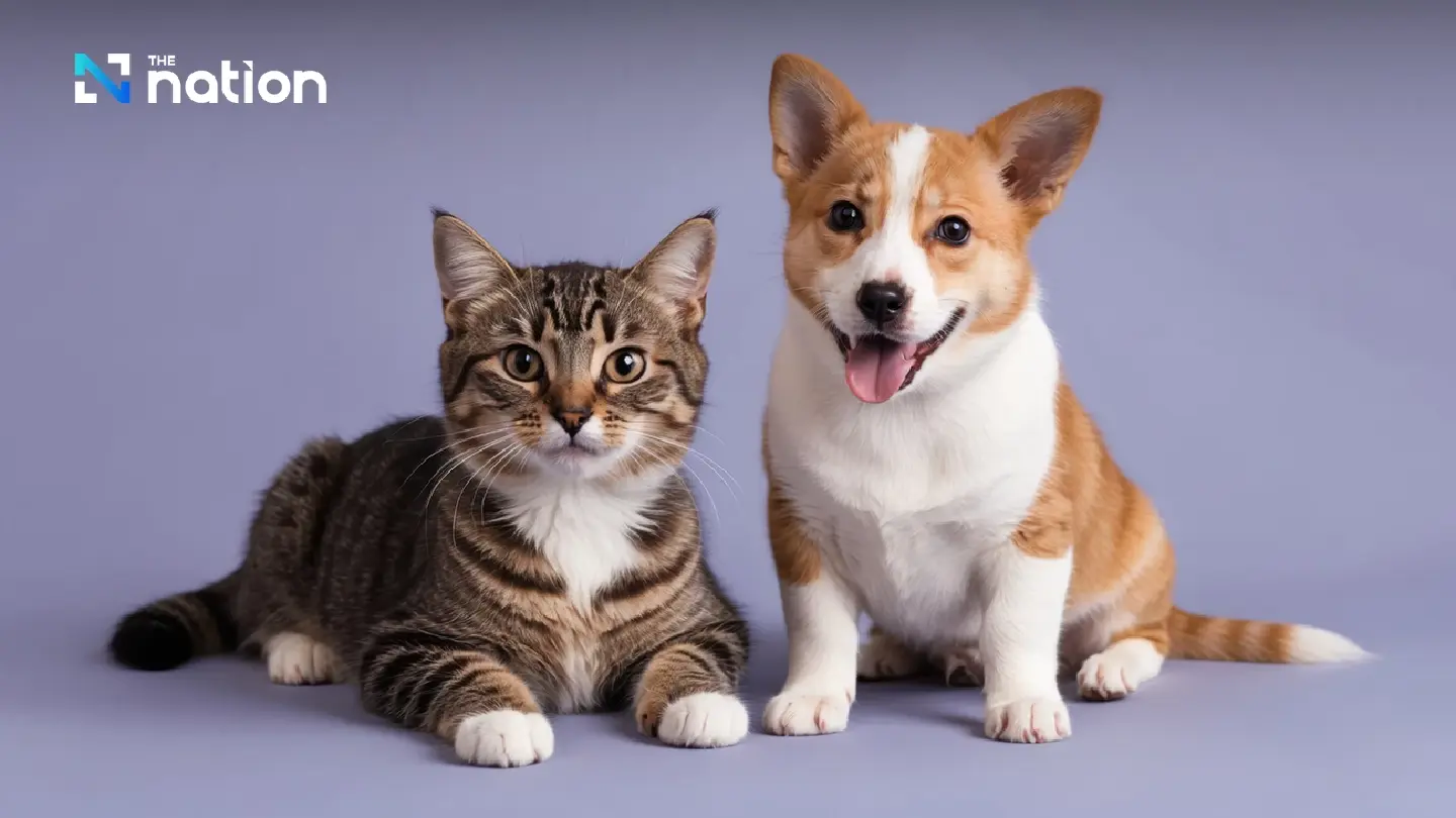 Bangkok Council postpones enforcement of controversial pets ordinance for one year Bangkok Council postpones enforcement of controversial pets ordinance for one year