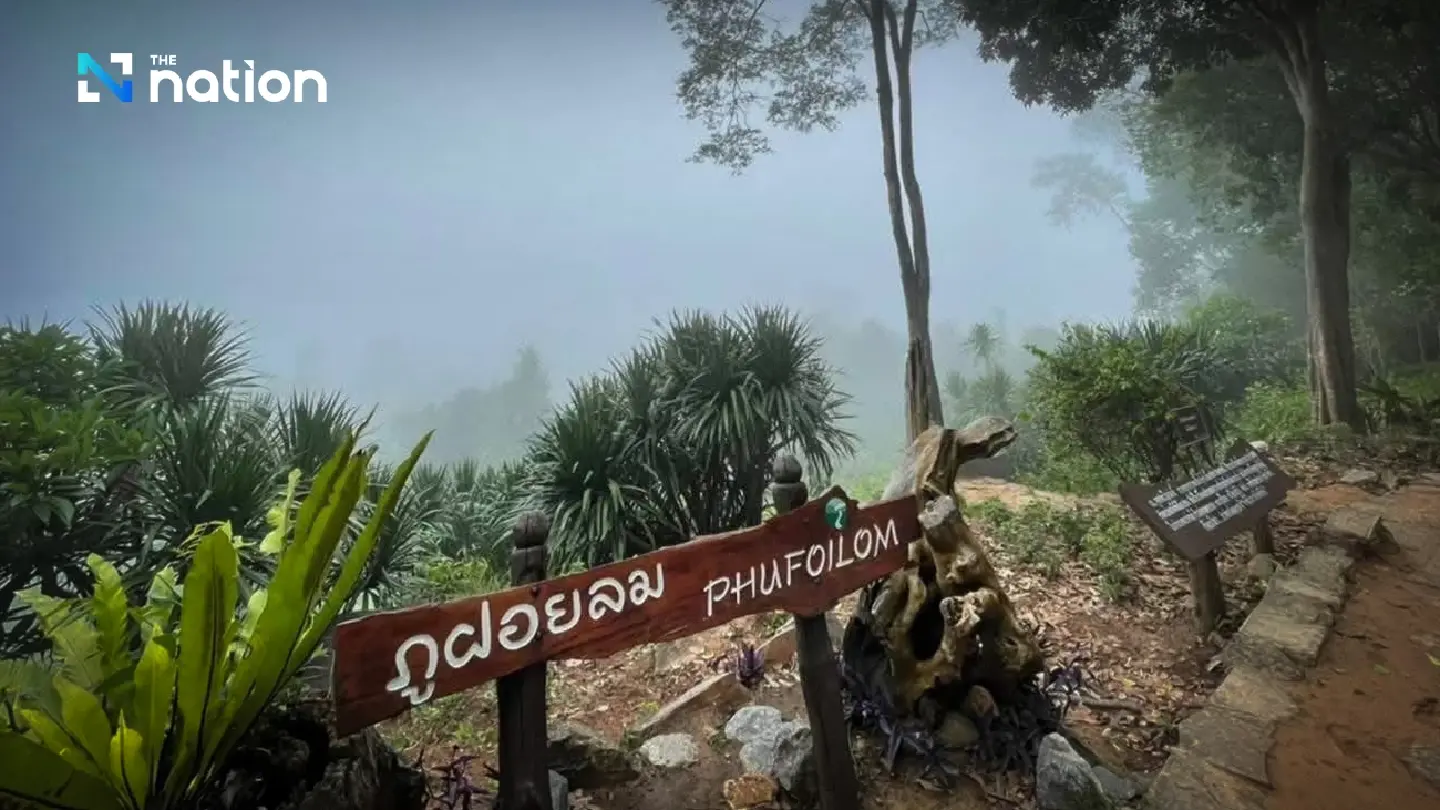 Phu Foi Lom botanical garden to close for restoration and safety measures