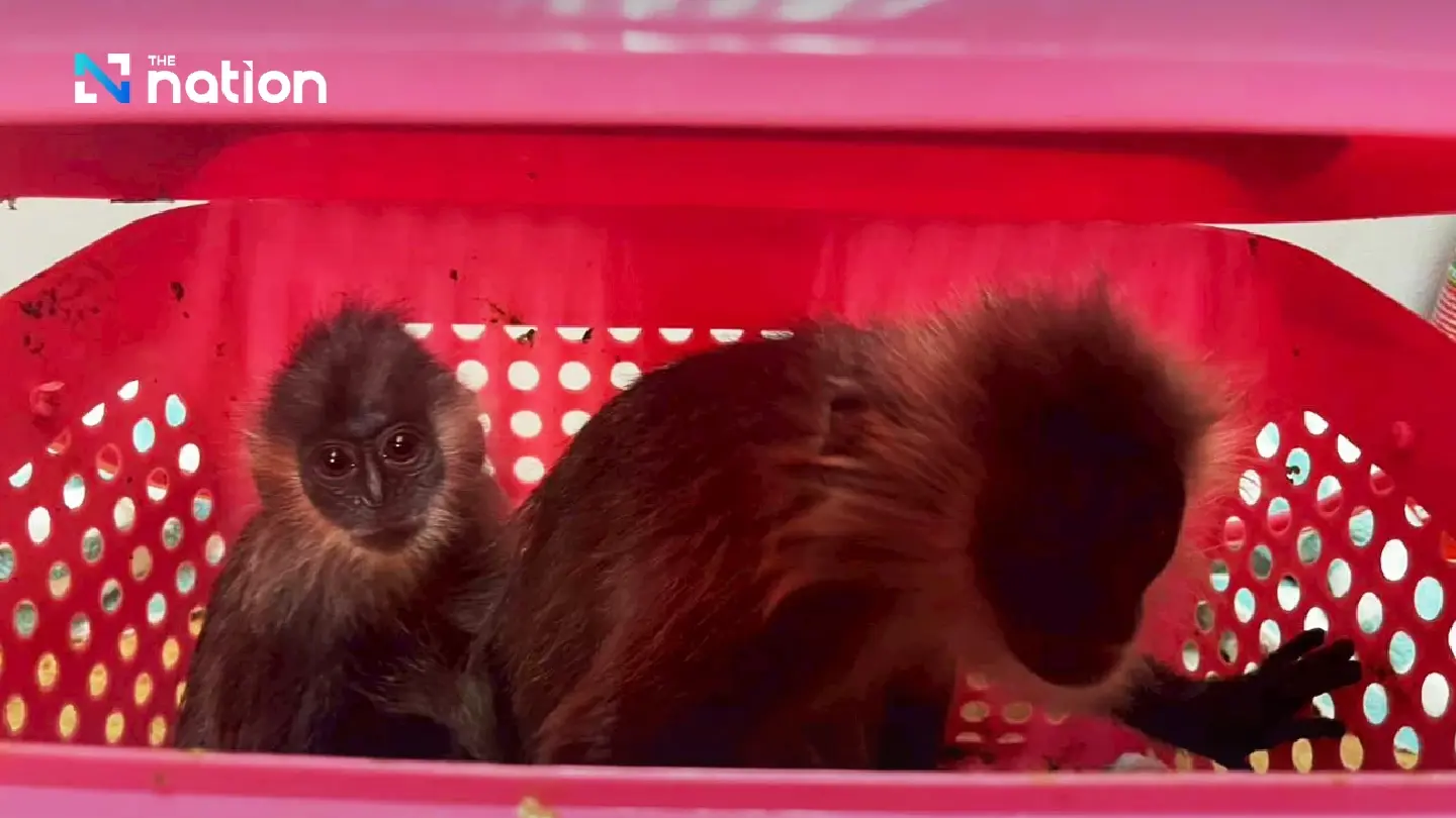 Authorities Thwart Wildlife Smuggling Attempt at Suvarnabhumi Airport