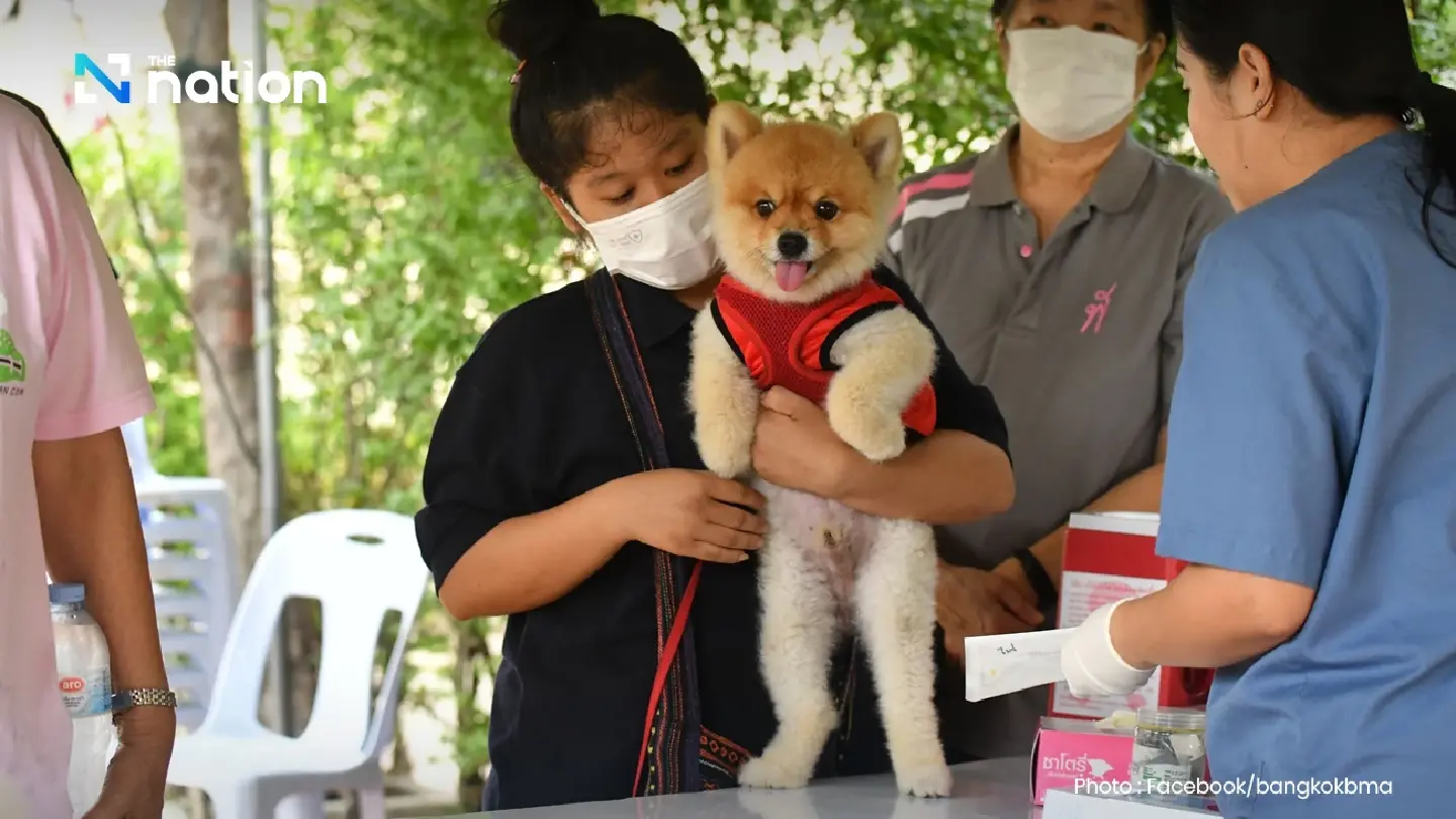 Bangkok to offer free pet microchipping, registration from February 14 via QueQ app