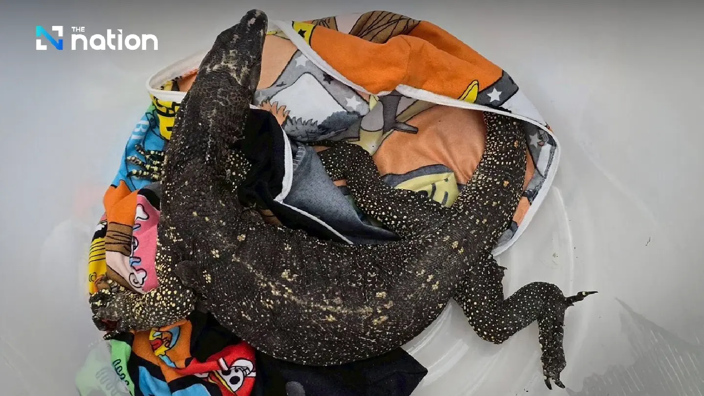 Transnational Wildlife Smuggling Ring Foiled at Suvarnabhumi Airport