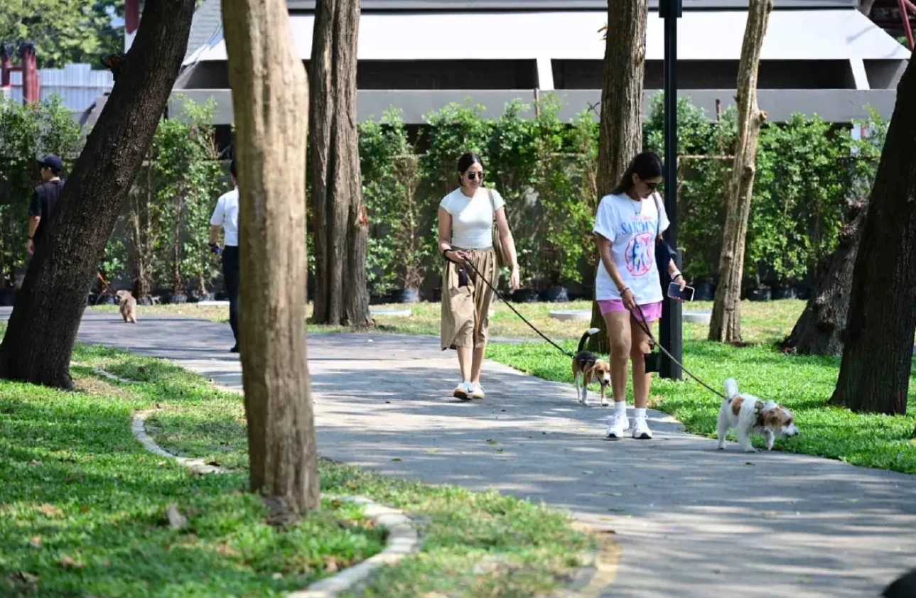 Lumpini Dog Park opens to mark Japanese chamber’s 70th anniversary