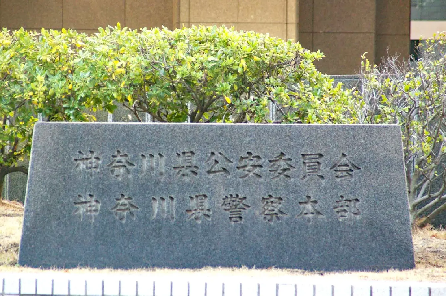 Kanagawa police to revoke 2,700 traffic violations