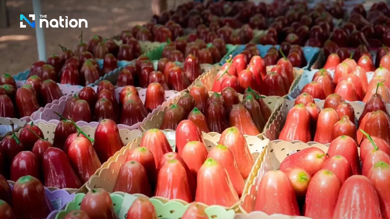 Ministry of Commerce registers Sa Kaeo's Khlong Hat Rose Apple as GI product