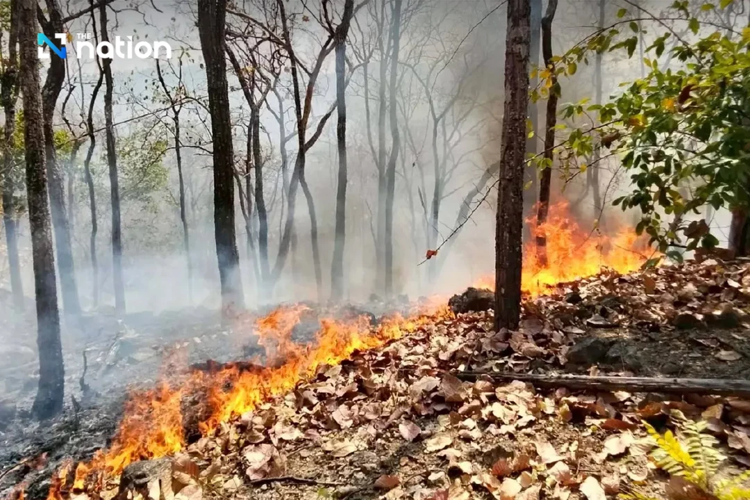 DNP tightens fire control across 14 forest groups, sets 3,000 checkpoints nationwide