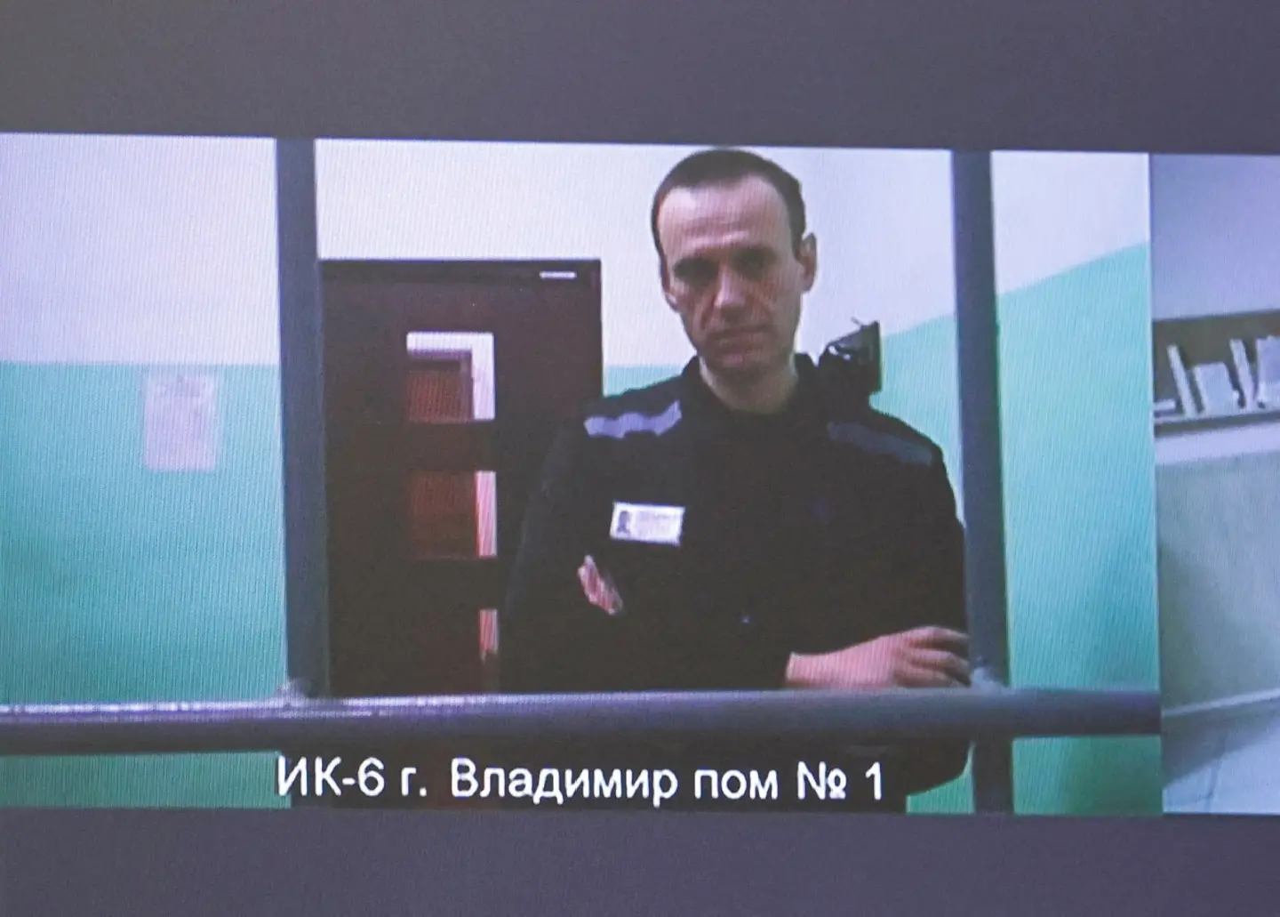 European allies say Navalny was poisoned by dart frog toxin; Russia rejects claims European allies say Navalny was poisoned by dart frog toxin; Russia rejects claims