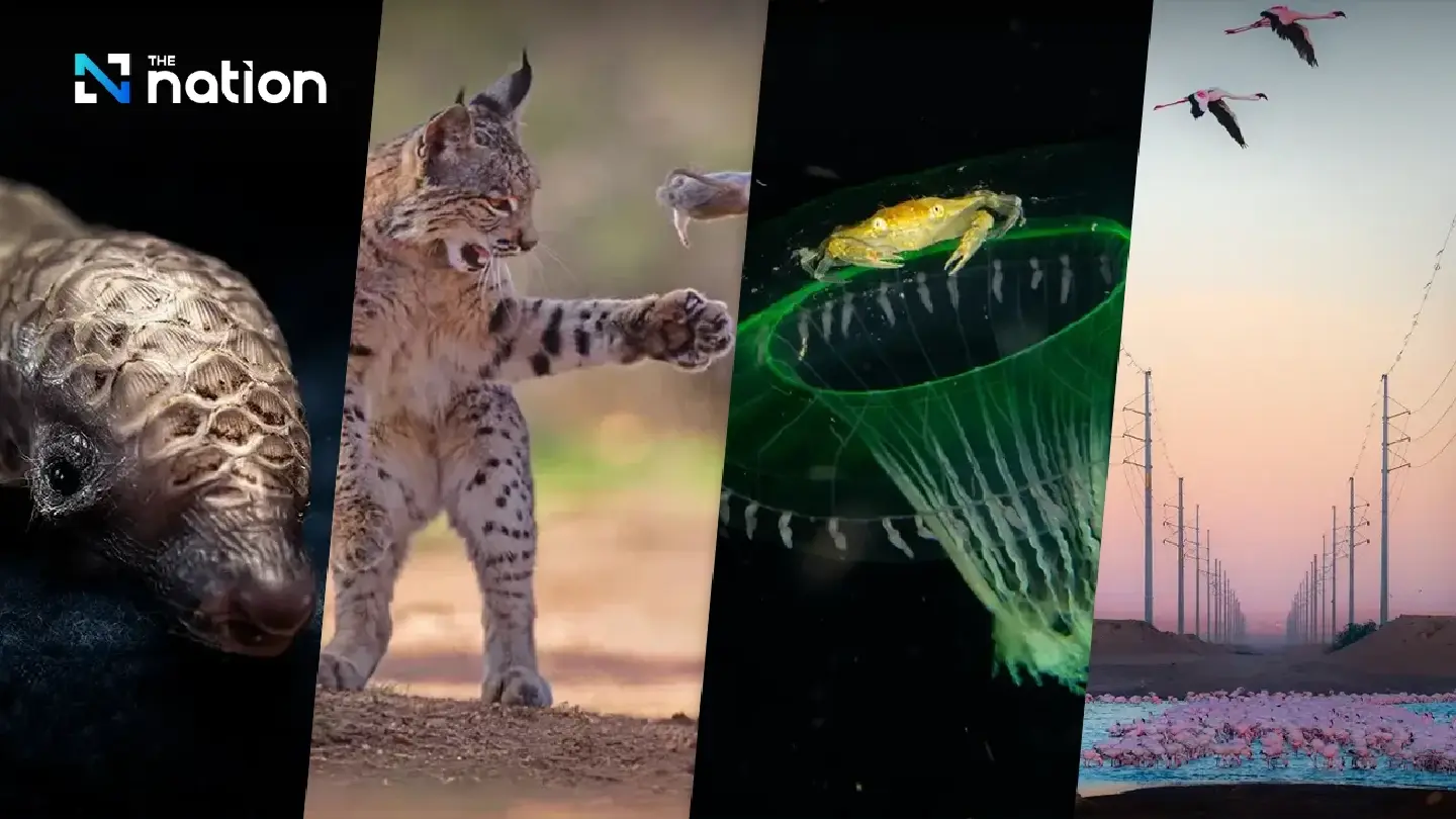 Natural History Museum names 24 People’s Choice finalists Natural History Museum names 24 People’s Choice finalists
