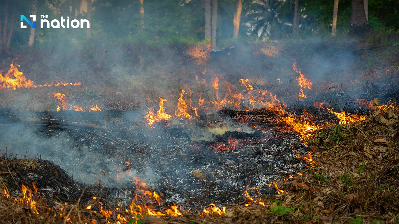 GISTDA: Thailand hotspots hit 839, with forests accounting for over half