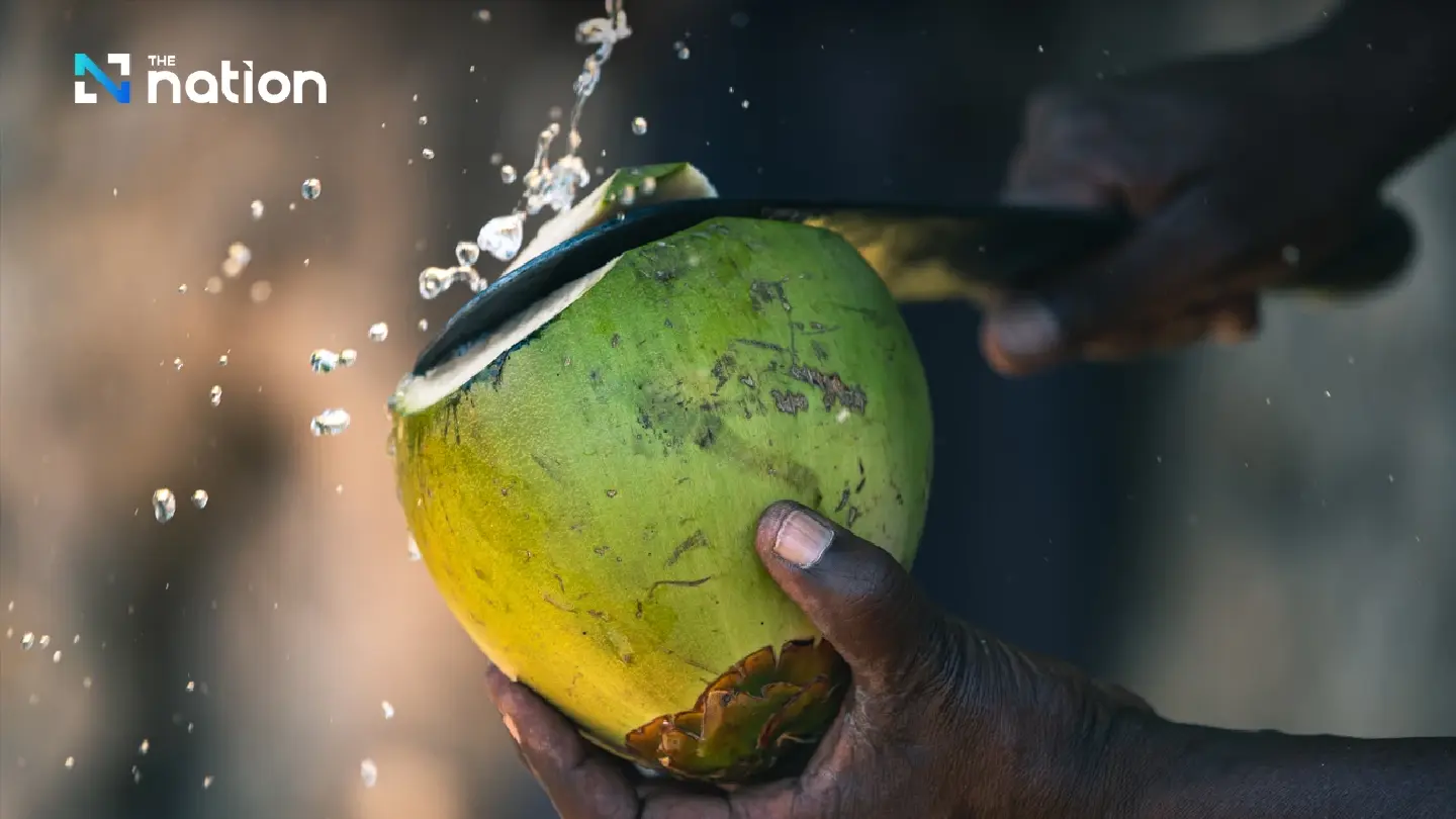 Ratchaburi aromatic coconut wins EU GI status, boosting exports Ratchaburi aromatic coconut wins EU GI status, boosting exports