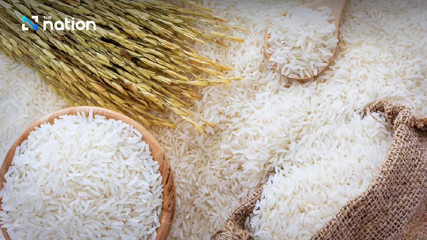 1 Million Tons of Premium Rice: A 5-Year Gamble on Thailand's Farmers