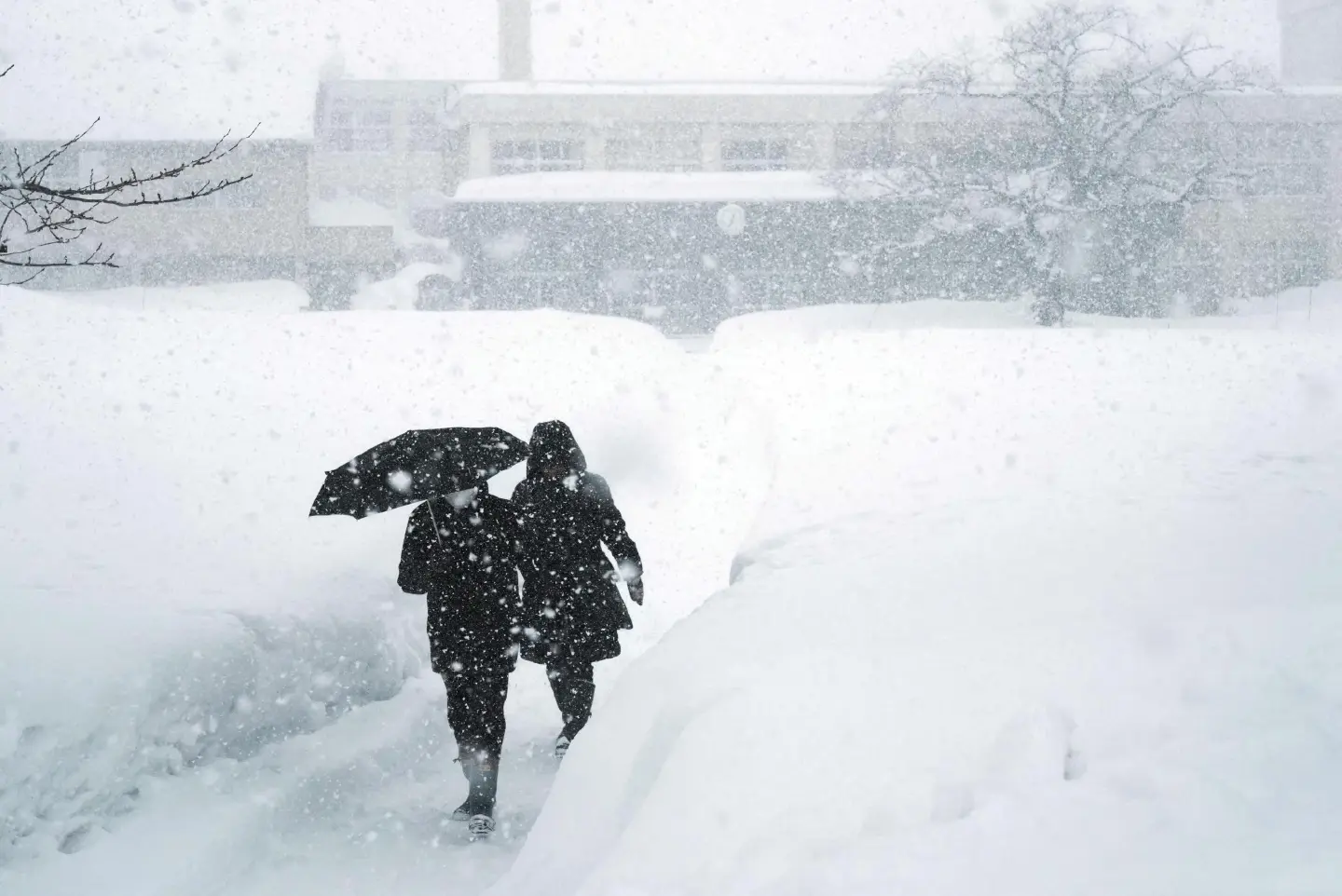 Japan to subsidise snowplough introduction at airports Japan to subsidise snowplough introduction at airports